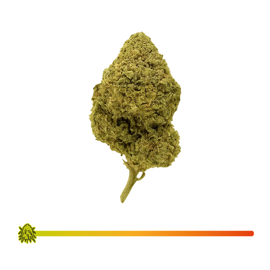 🔫 AK-47 - CBD