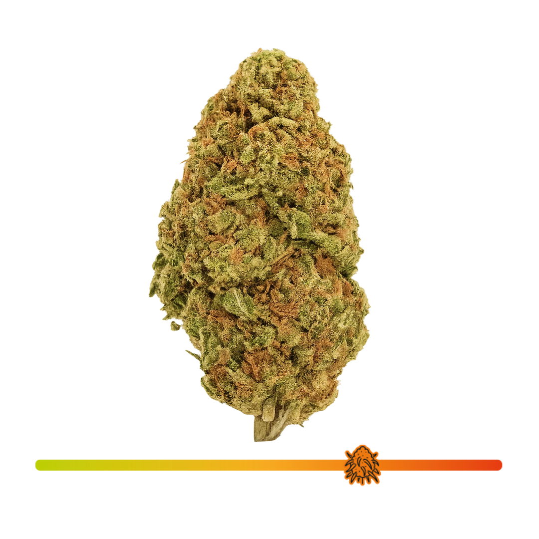 💥 Strawberry Amnésia