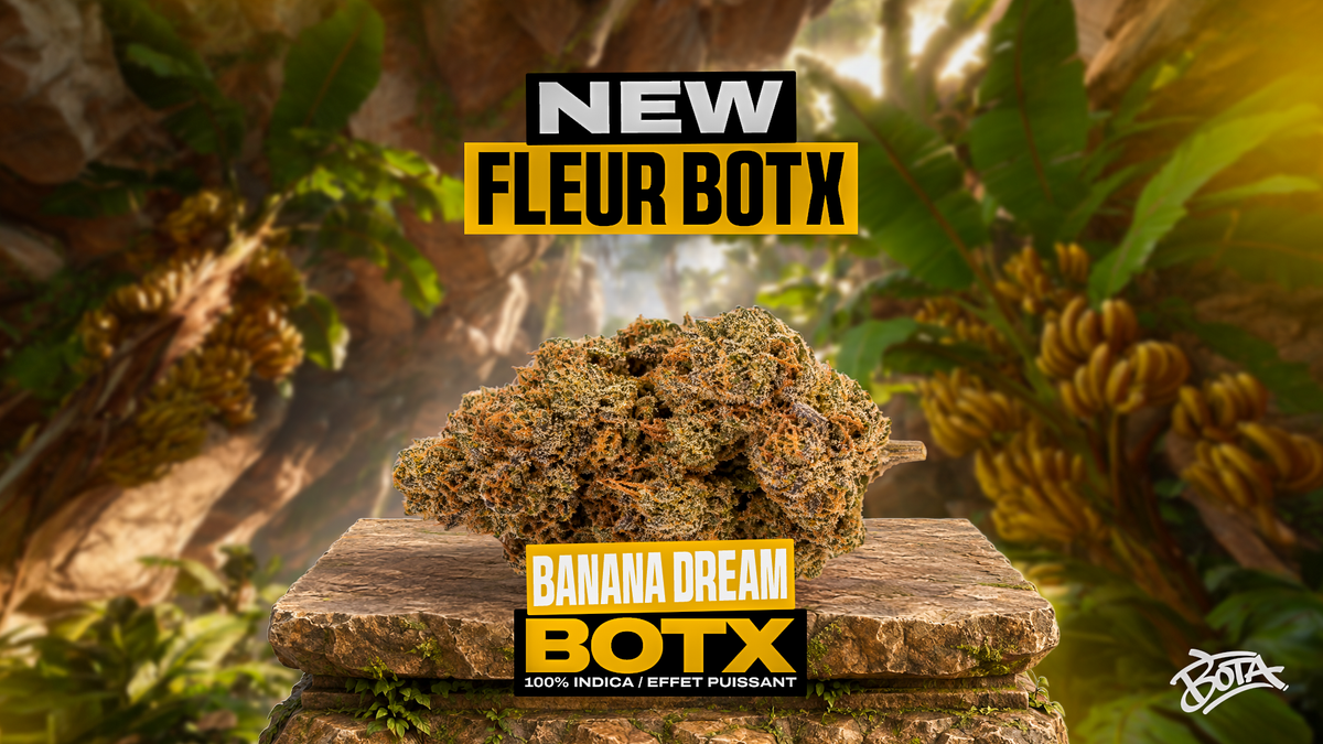 Banana Dream