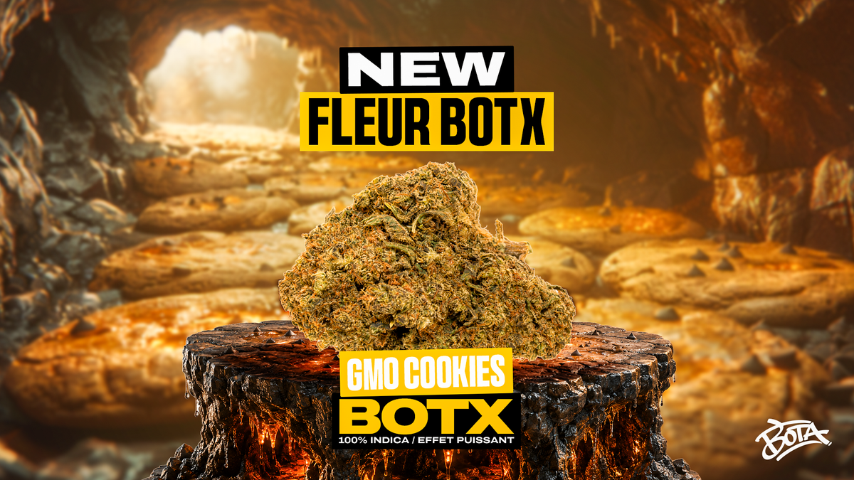 GMO COOKIES