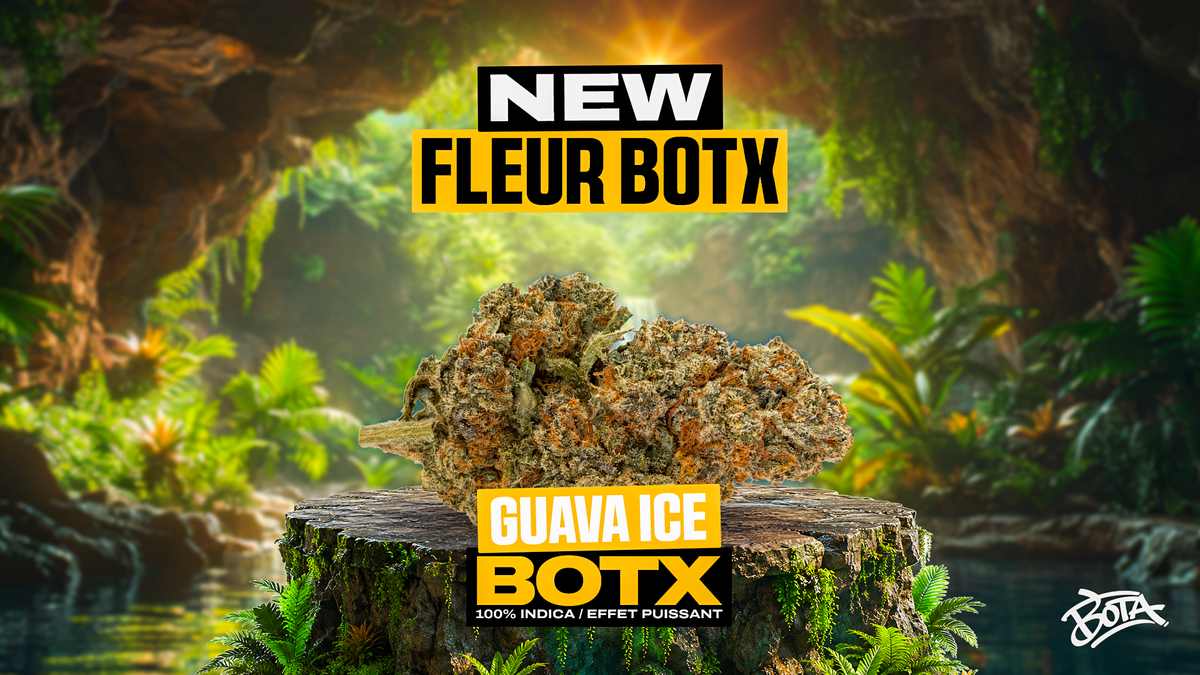 Guava ICE