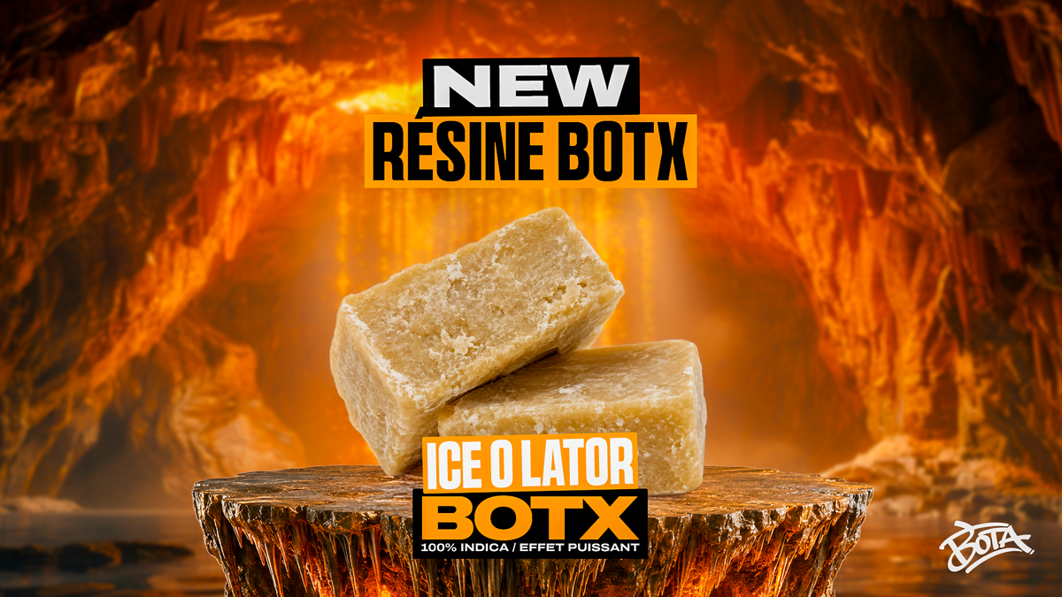 ICE O LATOR