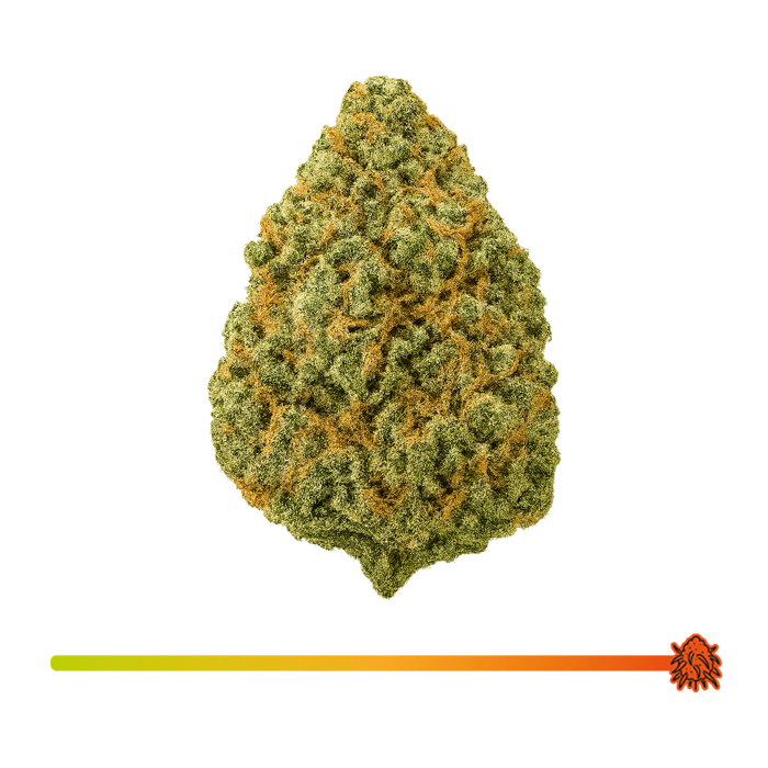 💚 Green Gelato