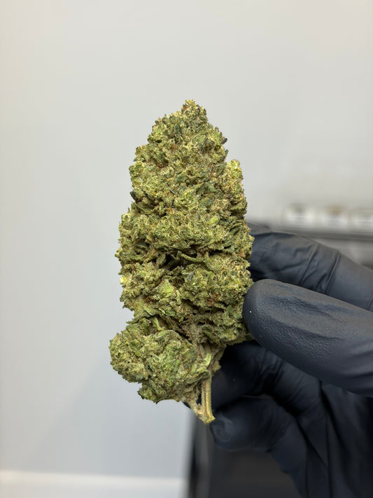 🧠 BOTA SKUNK