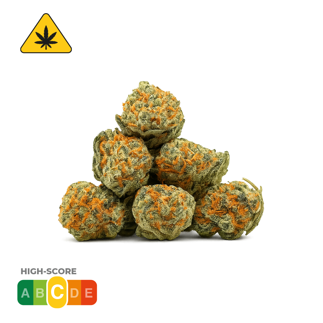 Strawberry Small Bud · THV+