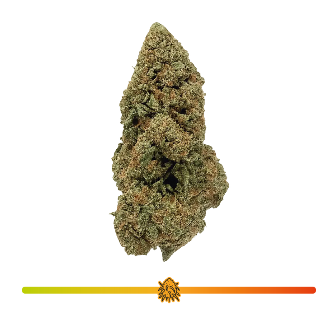 🍬 ZKITTLEZ - CBD