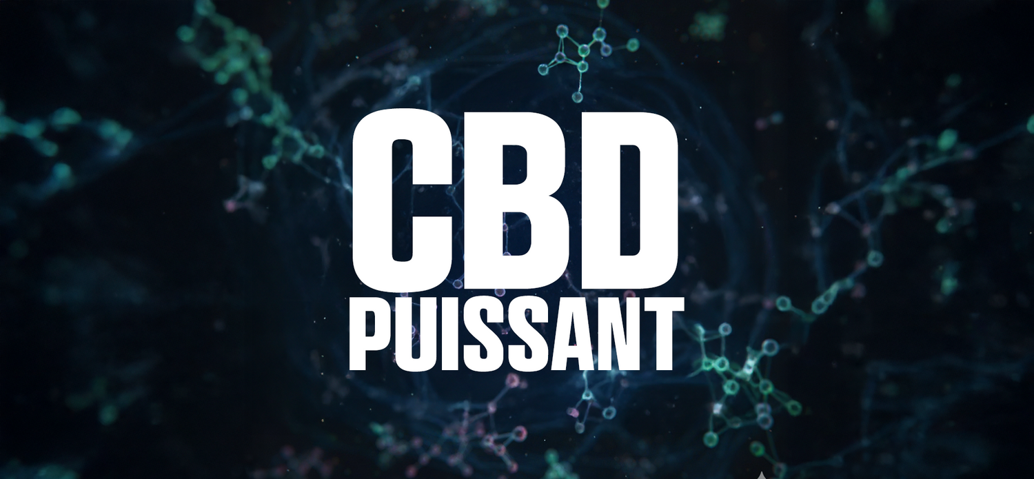 CBD Puissant - BOTANILABS