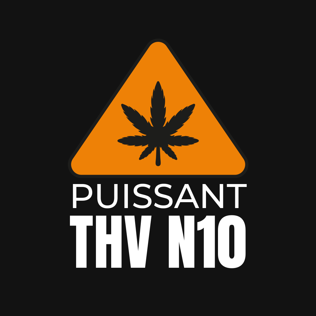 🕷️ THV-N10
