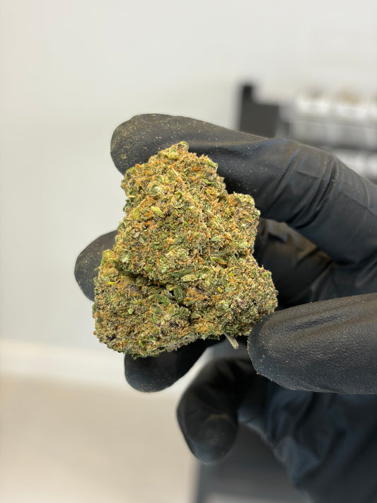 🍬 JELLY GELATO - CBD