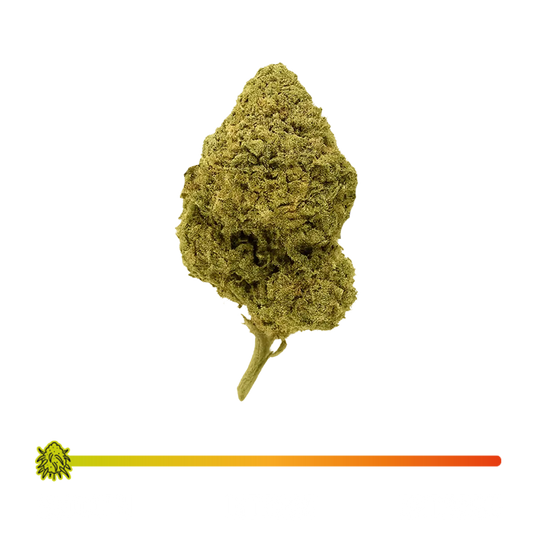 🔫 AK-47 - CBD