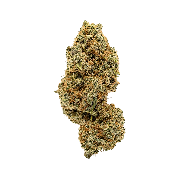 👽 ALIEN GELATO - CBD