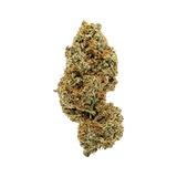 👽 ALIEN GELATO - CBD