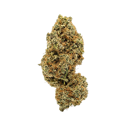 👽 ALIEN GELATO - CBD