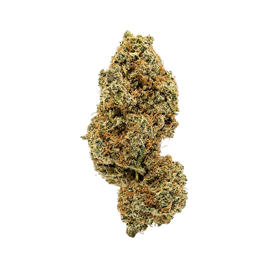 👽 ALIEN GELATO - CBD