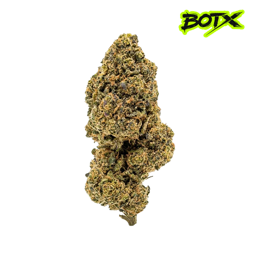 🛸 ALIEN OG