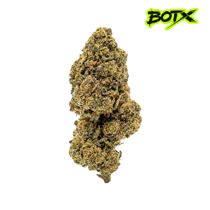 🛸 ALIEN OG