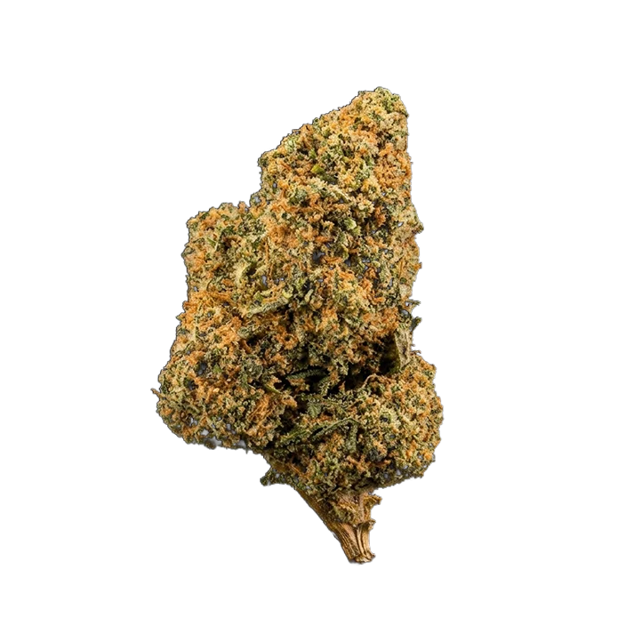 👽 ALIEN OG - CBD