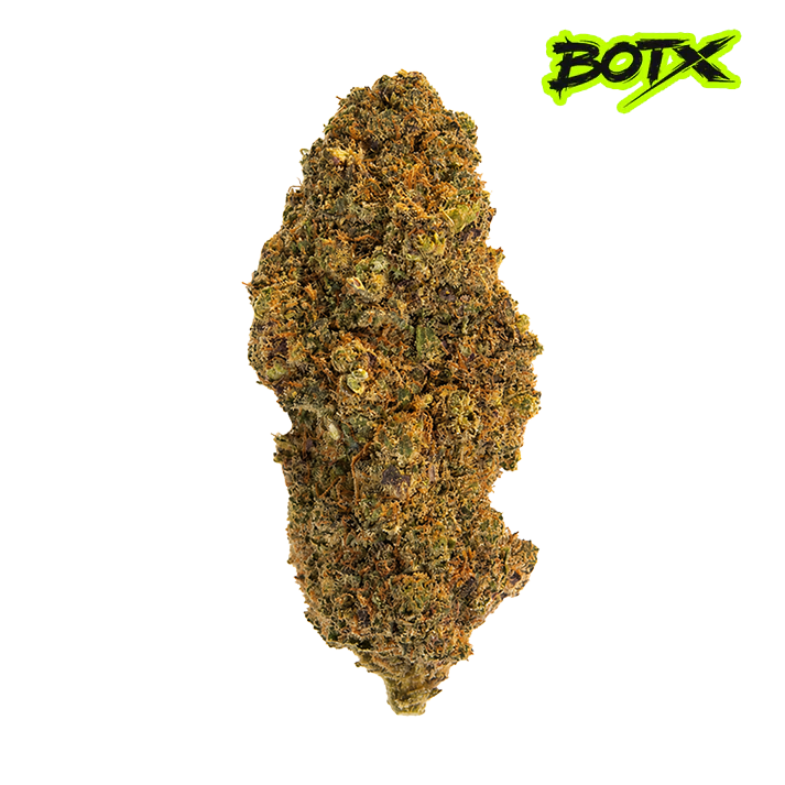 ⛽️ ALLIUM OG