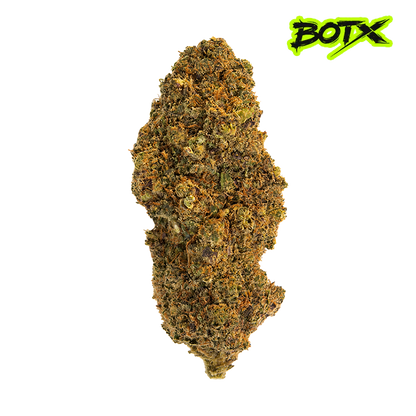 ⛽️ ALLIUM OG