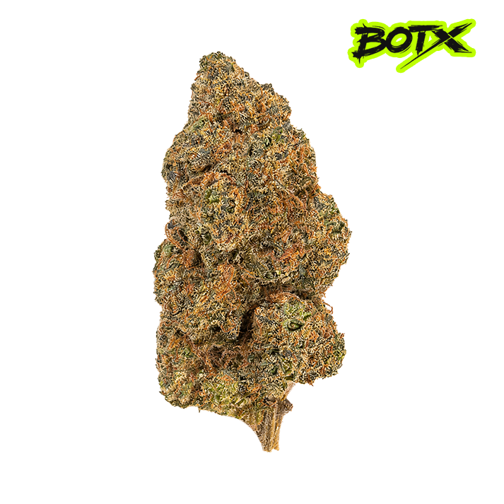 🍌🍬 BANANA x BERRY