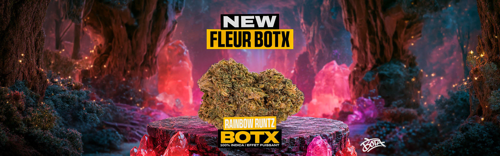 RAINBOW RUNTZ BOTX
