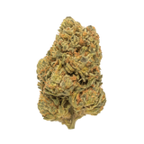 ⛽ BOTA DIESEL