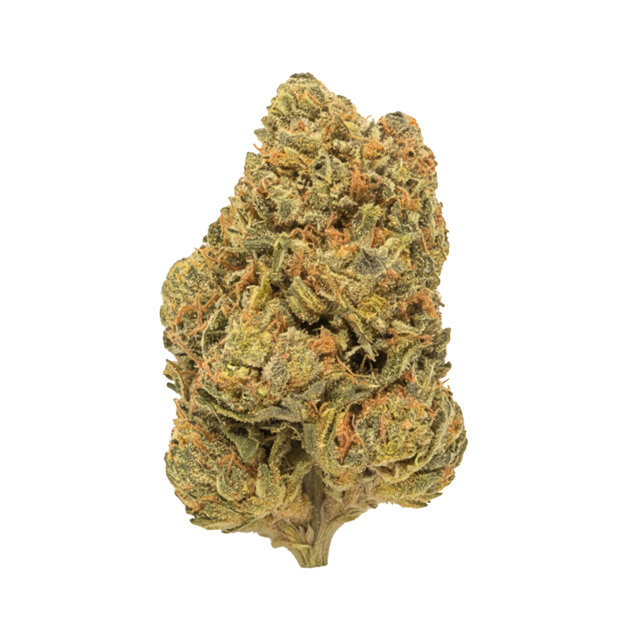 ⛽ BOTA DIESEL
