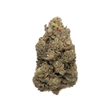 👑 BOTA KUSH
