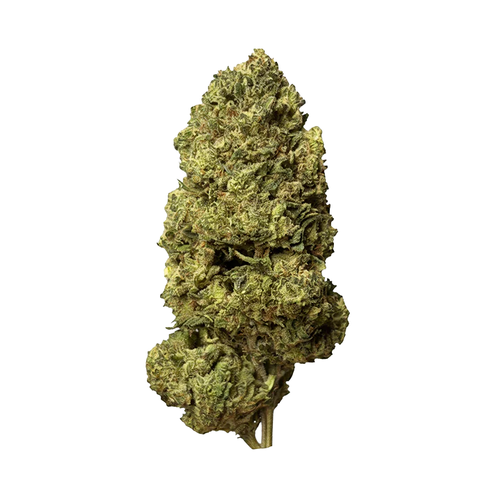🧠 BOTA SKUNK
