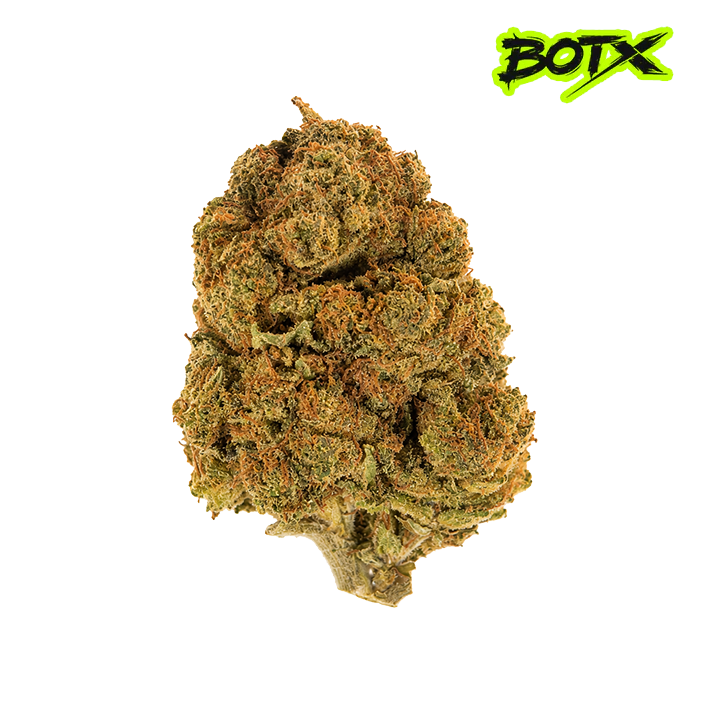 🇺🇸🌴 CALIFORNIA KUSH