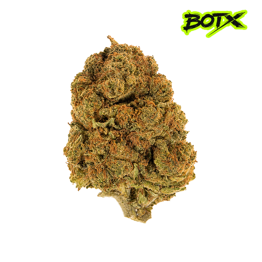 🇺🇸🌴 CALIFORNIA KUSH