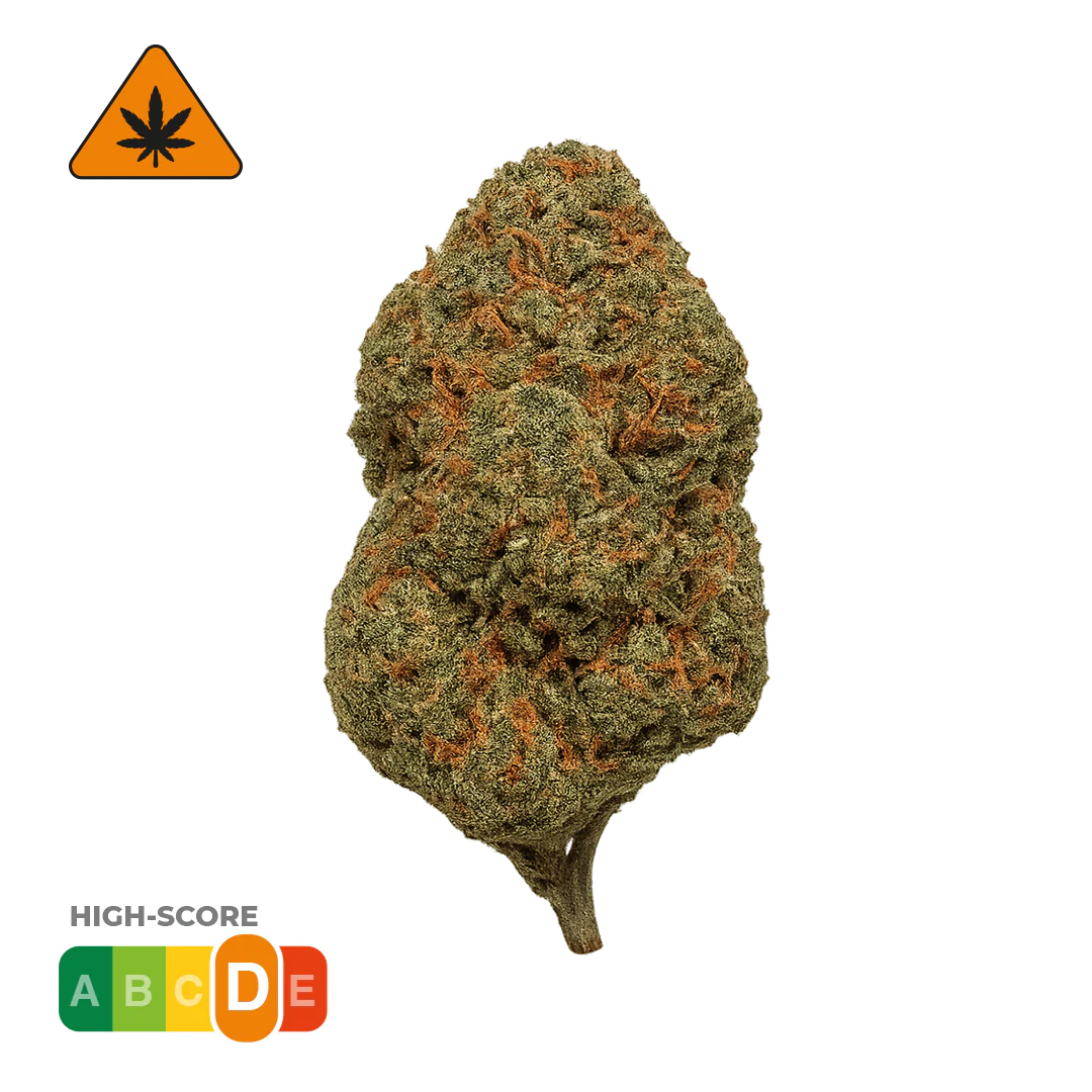 Cosmic Haze · TRX
