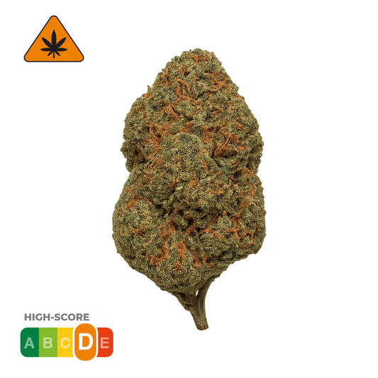 Cosmic Haze · TRX