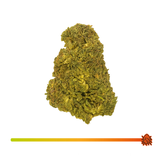🍋‍🟩 Critical