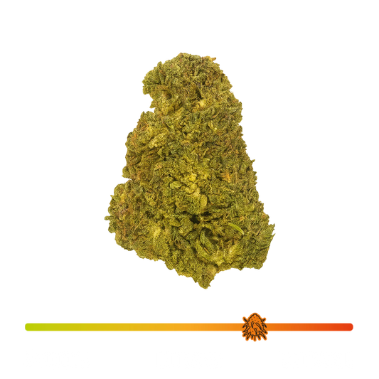 🍋‍🟩 Critical