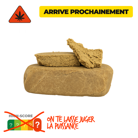 DOUBLE BOTA (DBOTA) · DBTL10