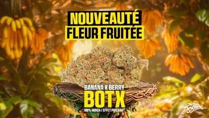 🍌🍬 BANANA x BERRY