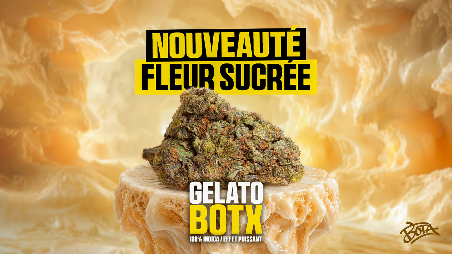 🍨 GELATO