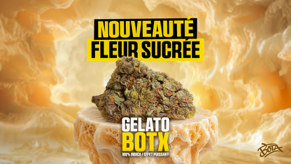 🍨 GELATO