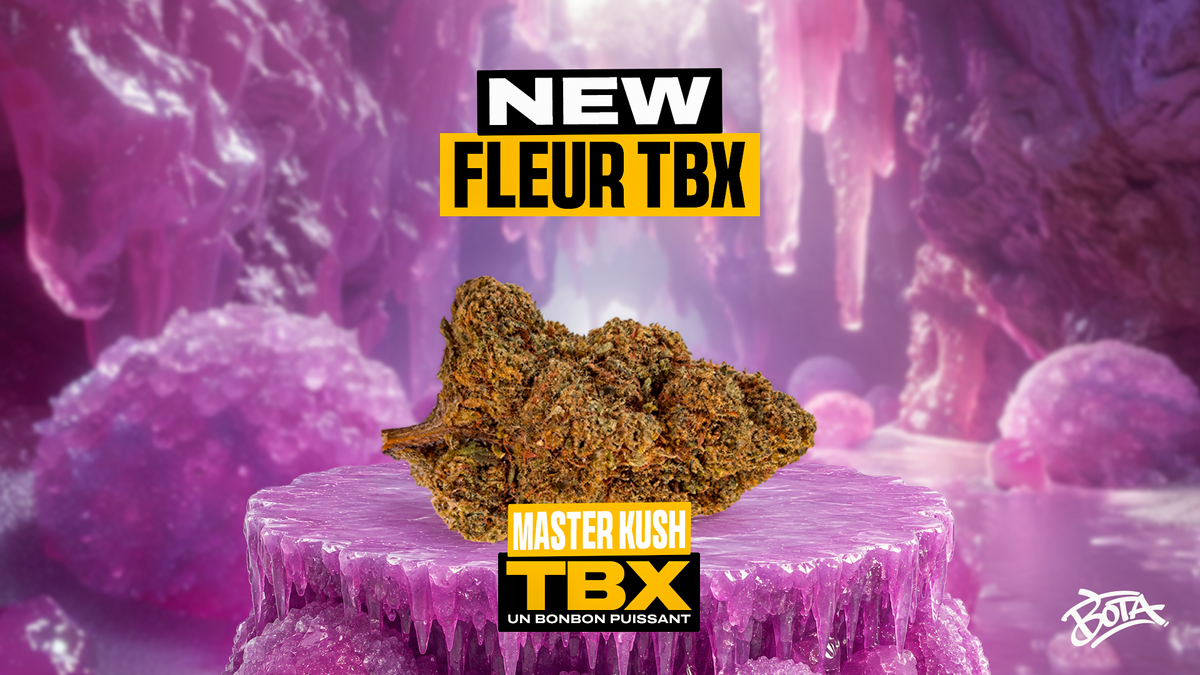 master kush