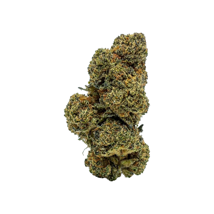 🍨 GELATO 41