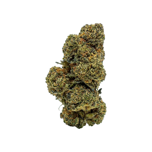 🍨 GELATO 41