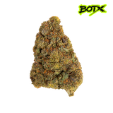 🍨 GELATO