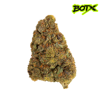 🍨 GELATO