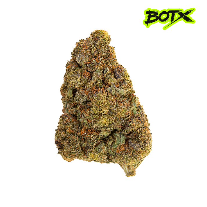 🍨 GELATO