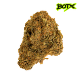 🍪 GMO COOKIES