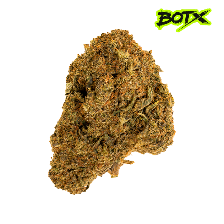 🍪 GMO COOKIES