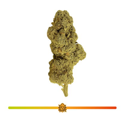🦍 Gorilla