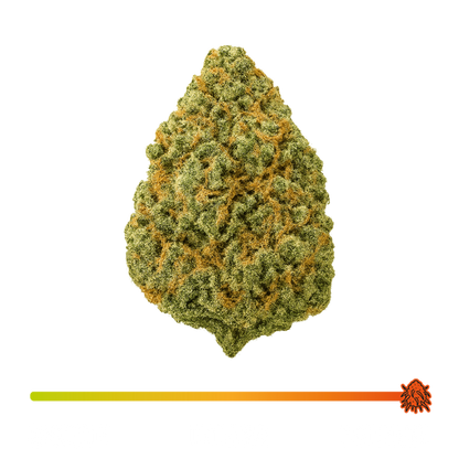 💚 Green Gelato