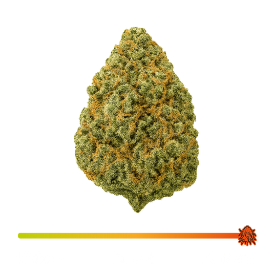 💚 Green Gelato